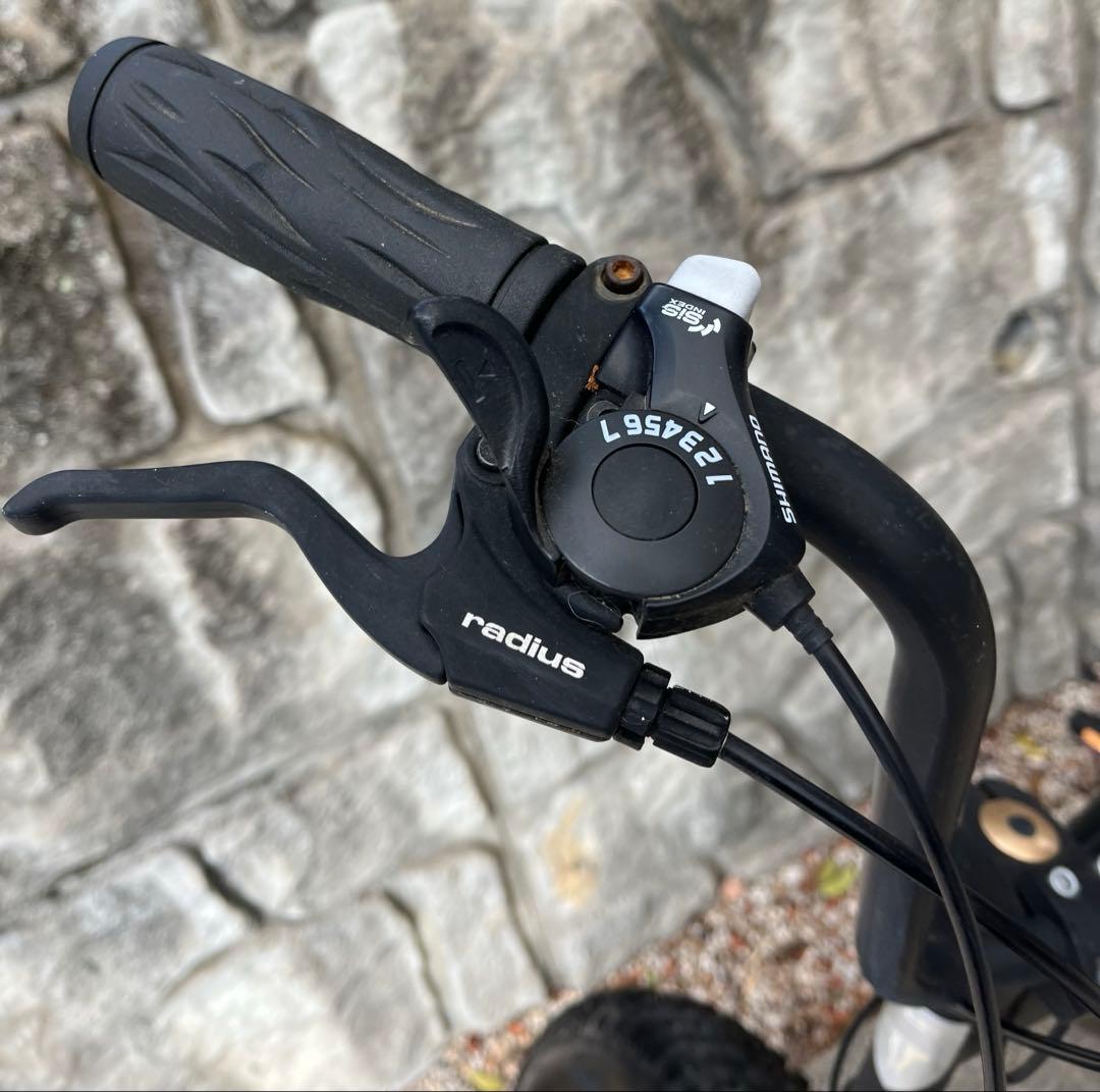 【引き取り限定】TXED ファットバイク ビーチクルーザー BMX 自転車