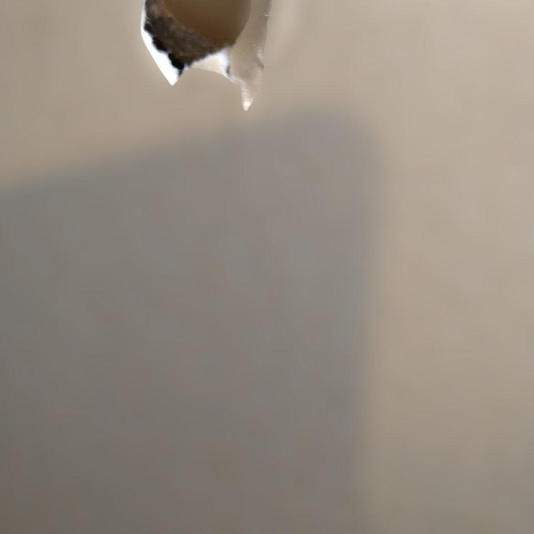 SP.1406 タミヤ ワーゲン　オフローダー スペアボディセット（箱難有）