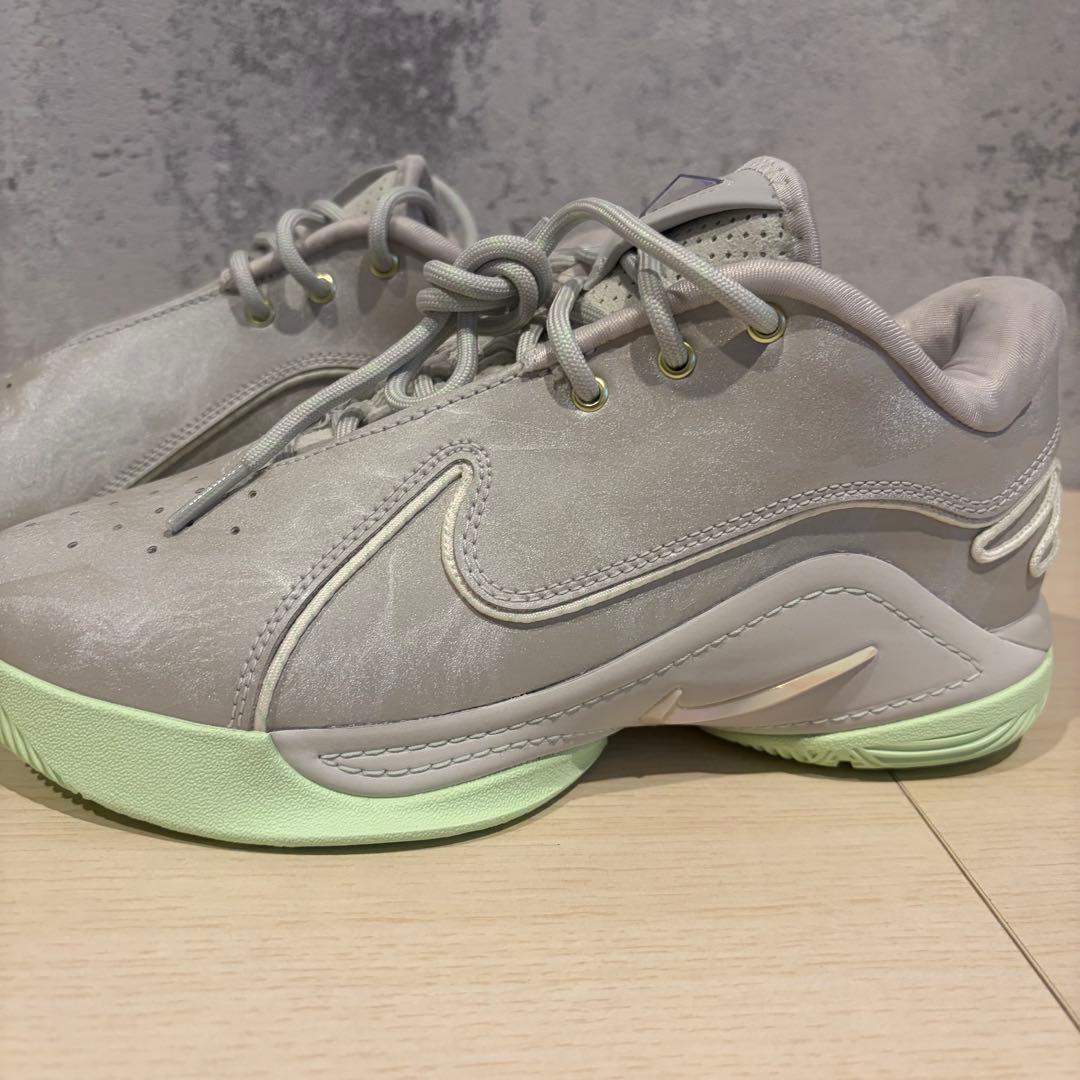 定価26,950円　新品未使用　NIKE ナイキ レブロン 22 EP
