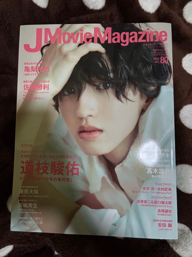 道枝駿佑 チビぬい アクスタ 雑誌付き