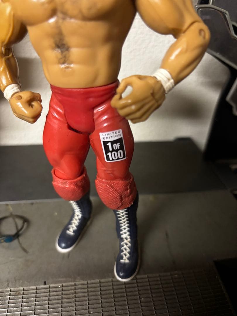 WWE トイフェアー世界100体限定　ハルクホーガン　レア品　100体のオマケ付