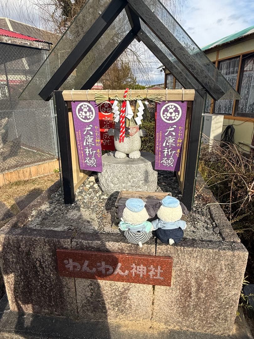 うさぽさま確認用