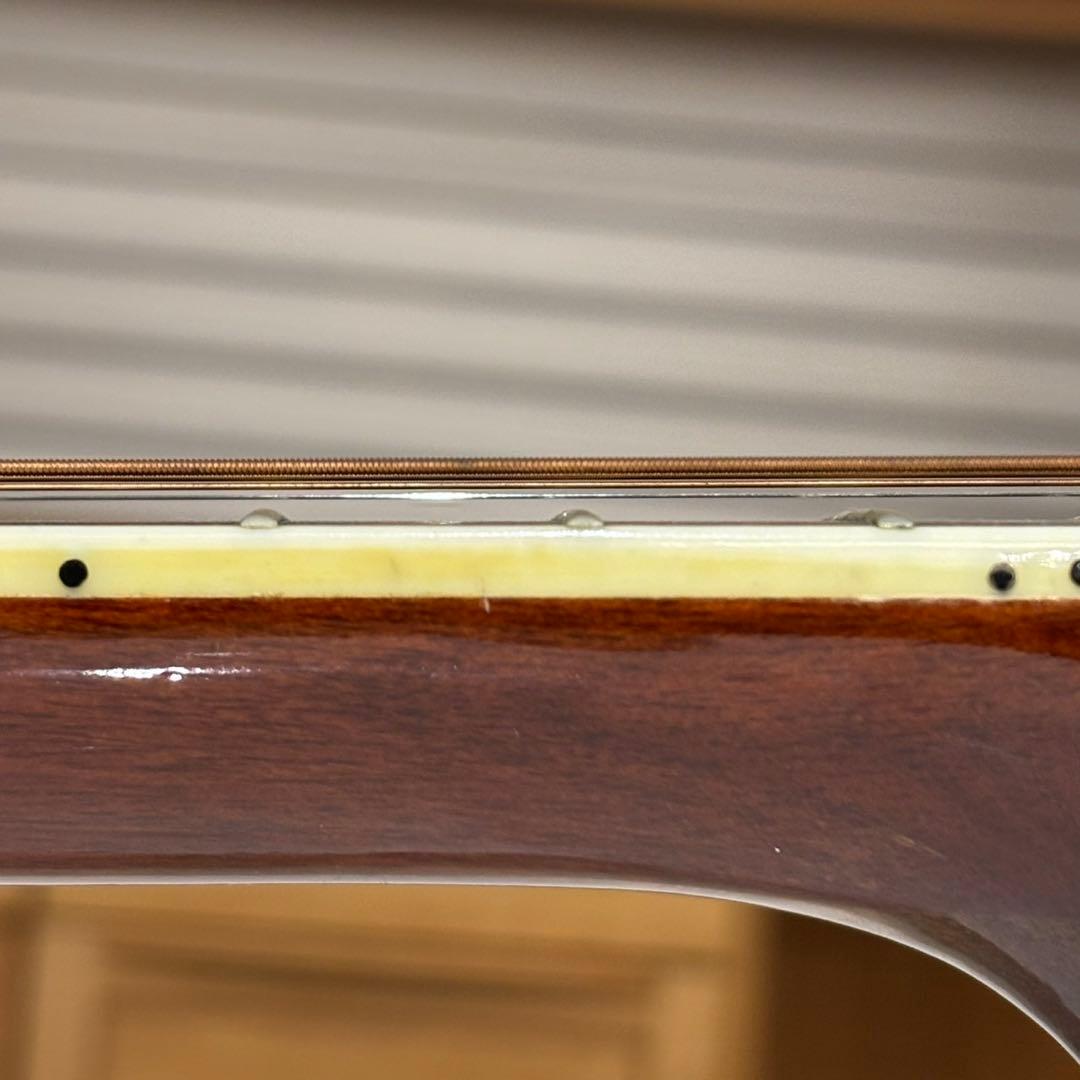 Morris モーリス アコースティックギター W-35 ケース付き D219