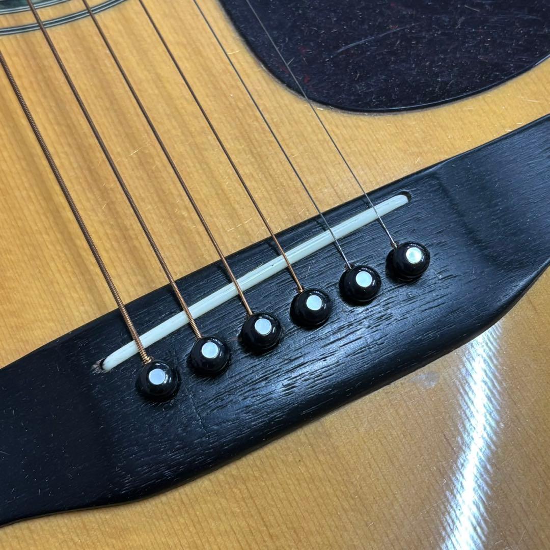 Morris モーリス アコースティックギター W-35 ケース付き D219