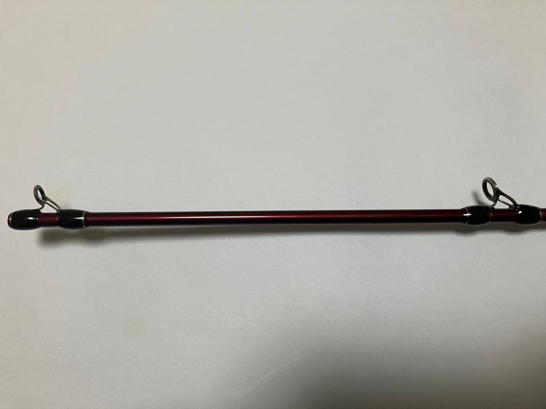 フィッシュマン ビームス ローワー 7.3L