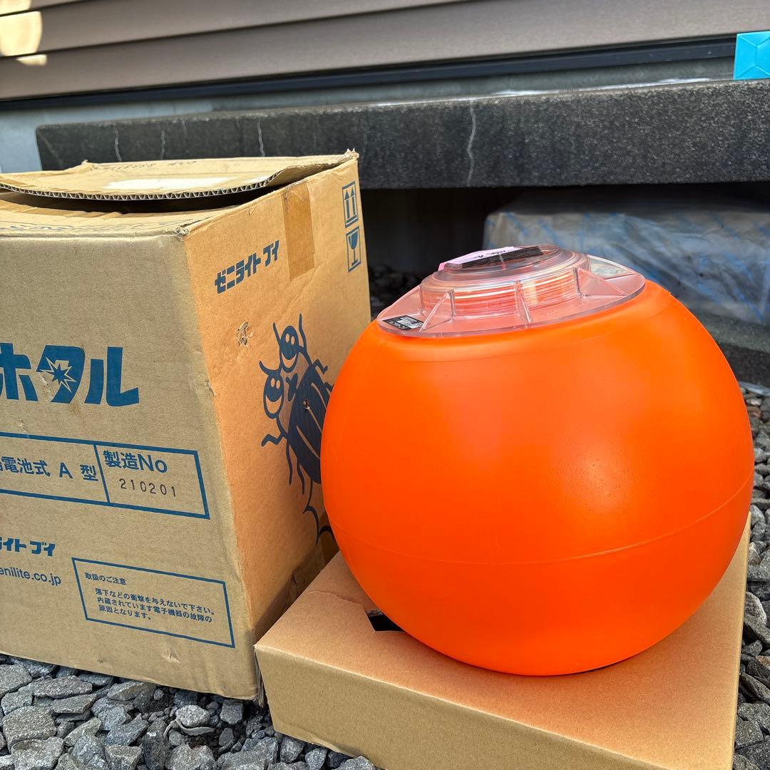 ゼニホタル