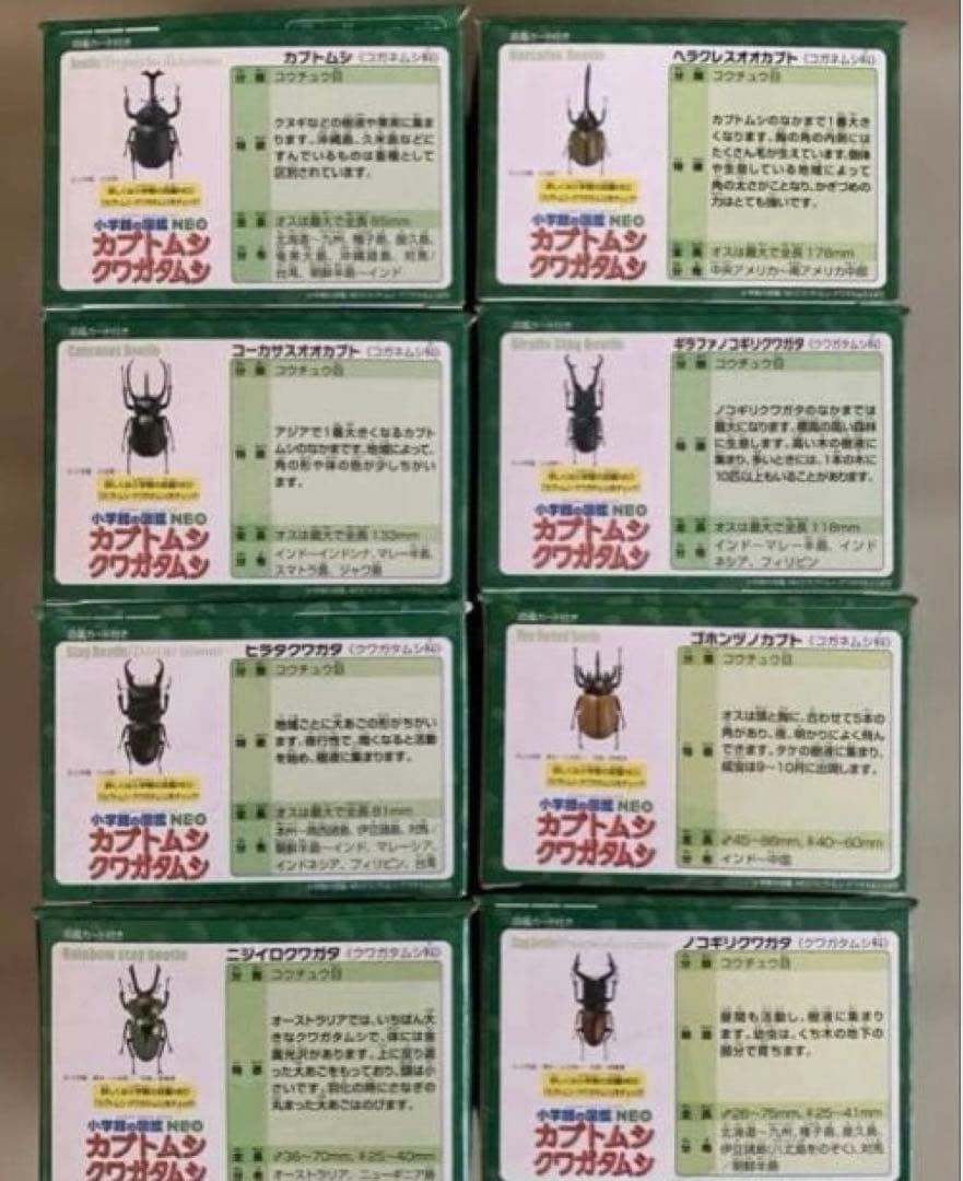 【新品】昆虫アニア 8種類コンプリートセット