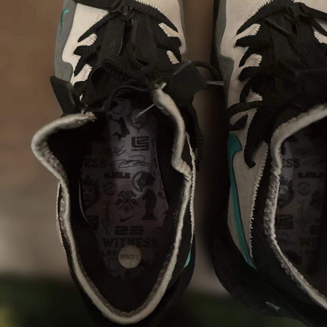 Nike lebron atmos ナイキ レブロン アトモス 27.5