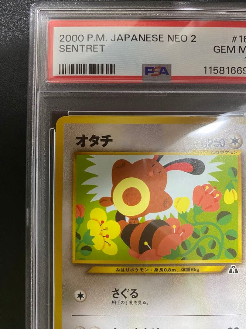 オタチ 旧裏　psa10 ポケモンカード　世界で48枚