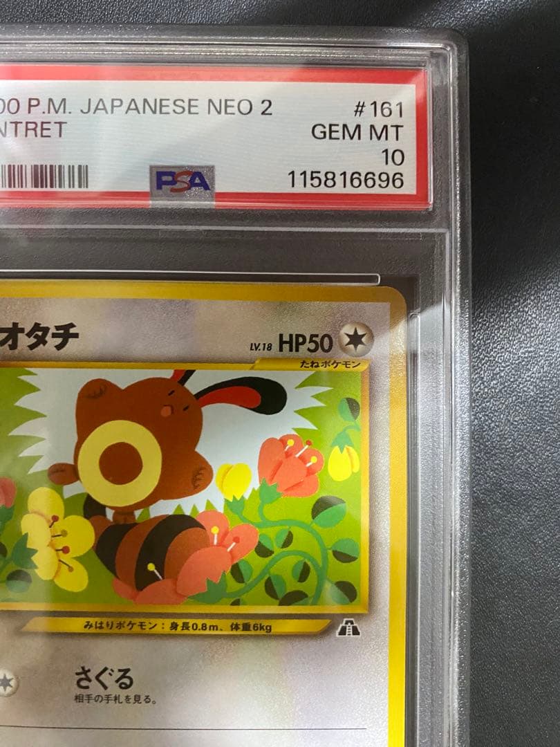 オタチ 旧裏　psa10 ポケモンカード　世界で48枚