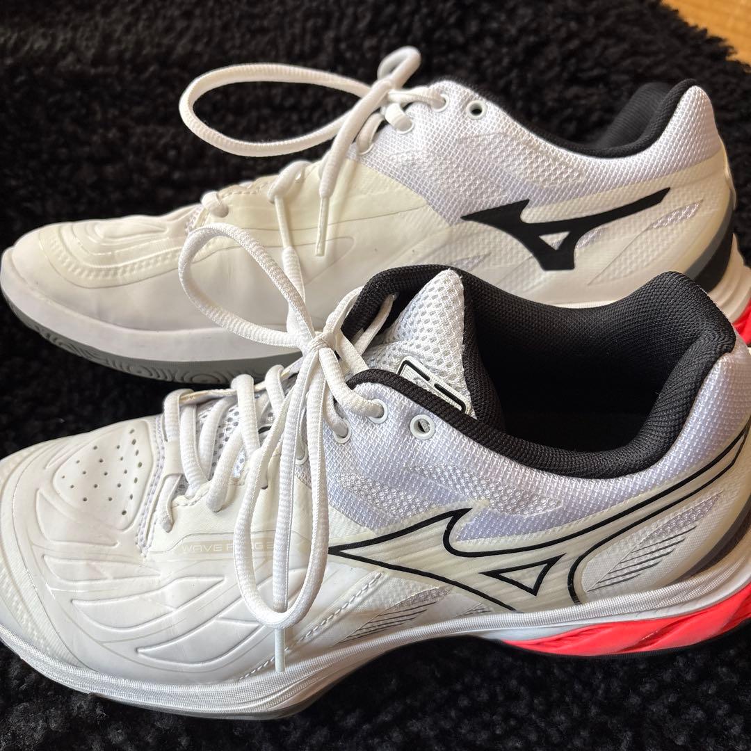 ミズノ(MIZUNO) バドミントンシューズ ウエーブファング 26.5