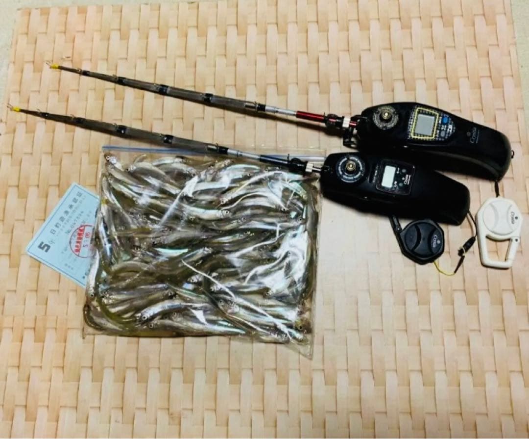 ワカサギ　全長約２０５ミリ　ステンレス穂先　２本ペア