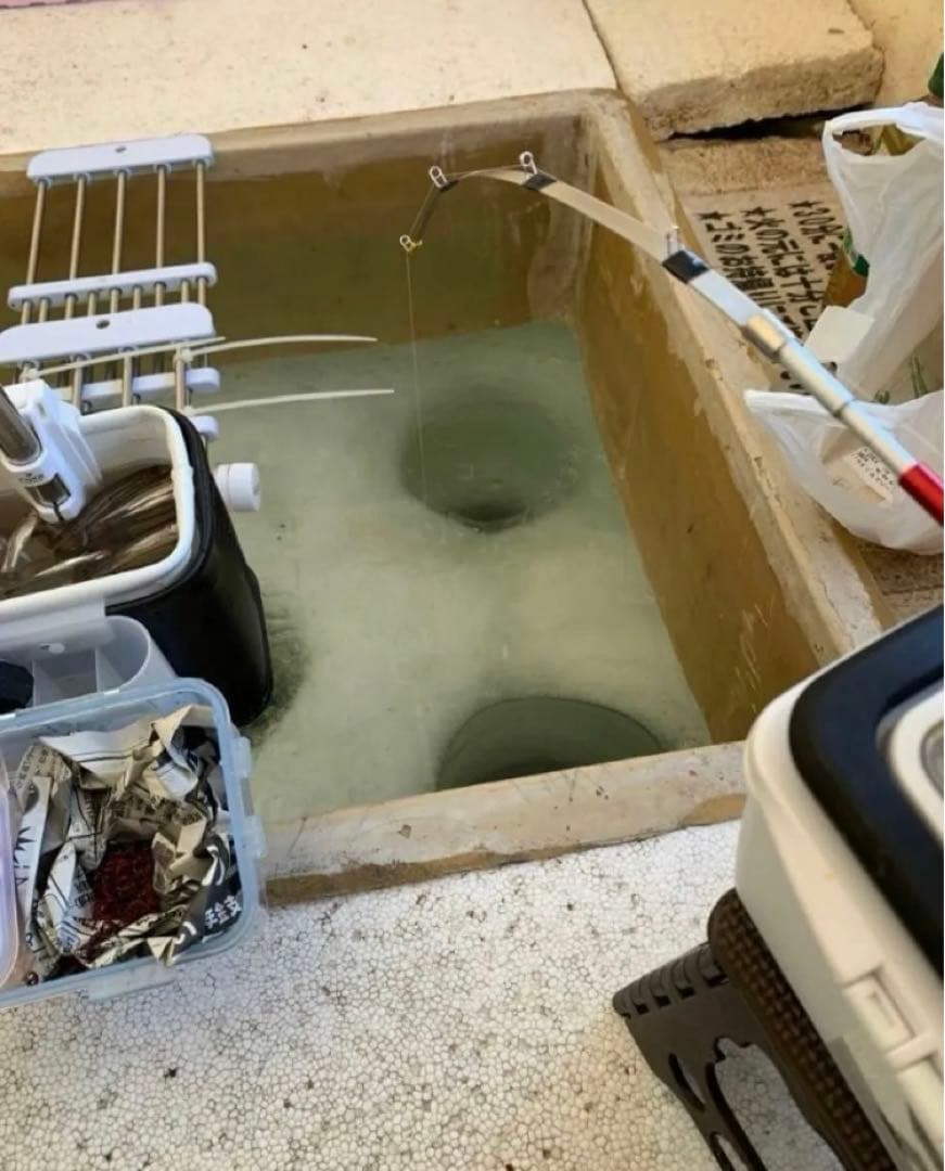 ワカサギ　全長約２０５ミリ　ステンレス穂先　２本ペア
