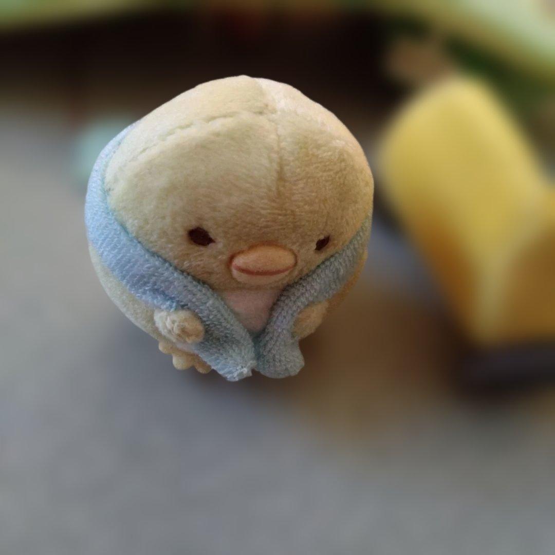 すみっコぐらし　すみっコハウスの畑