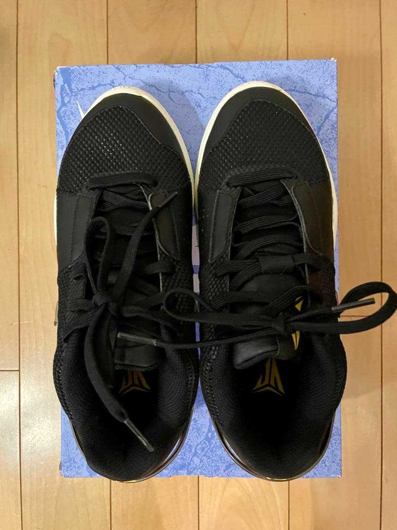 NIKE、ja1 EP、ジャ1 EP、25センチ