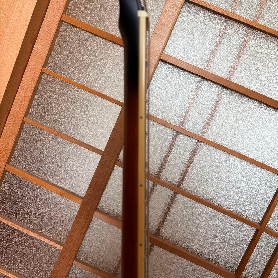 Ibanez AS53-TF タバコフラットセミアコギター・Gatorケース付き