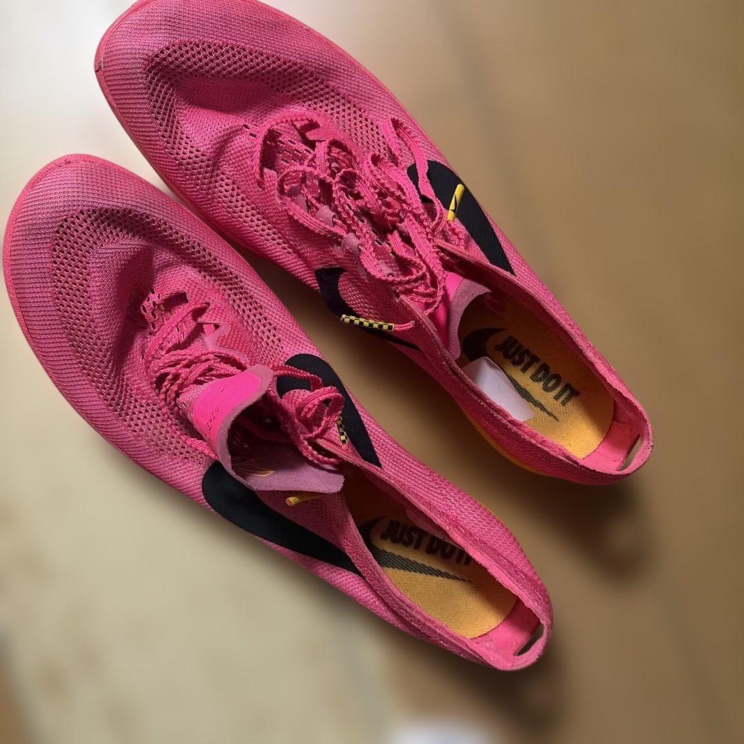 NIKEドラゴンフライ1 28.0cm