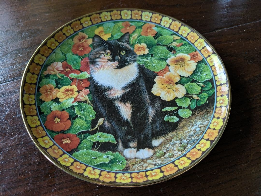 RR　2枚セット世界一美しい猫 　ナスタチューム＆ クリスマローズ