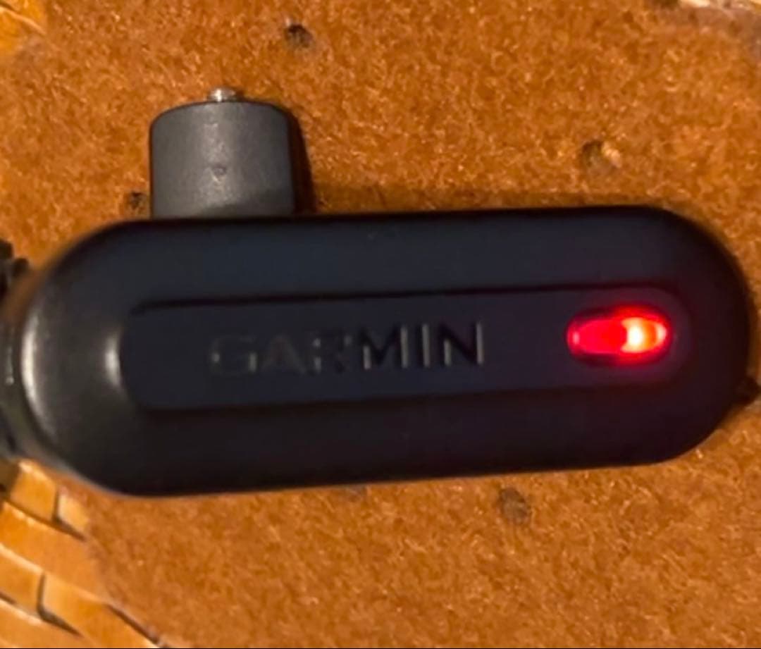 最終金額 GARMIN TruSwing ガーミン トゥルースイング 解析