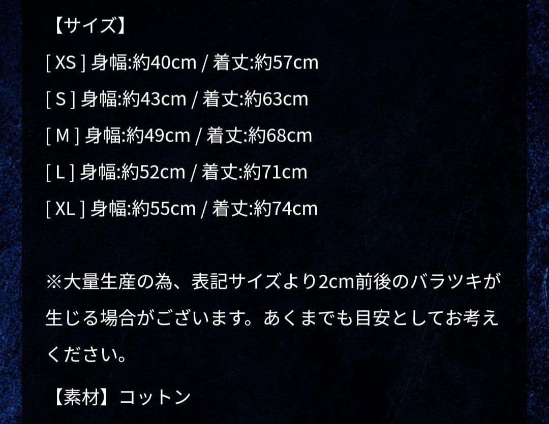 【一回着用】【美品】【希少XLサイズ】B'z　HINOTORI　　R＆R　 スミ