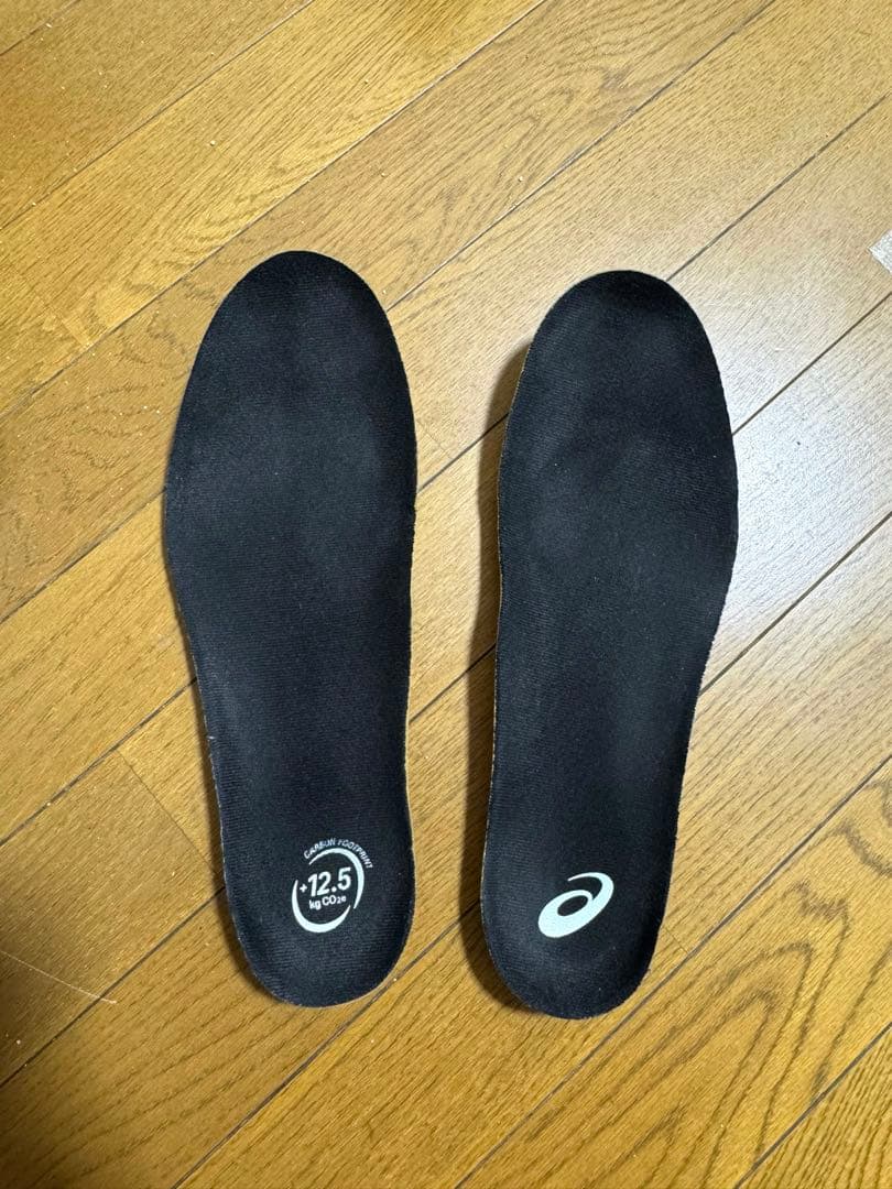 asics GT-2000 14 ランニングシューズ30cm エクストラワイド