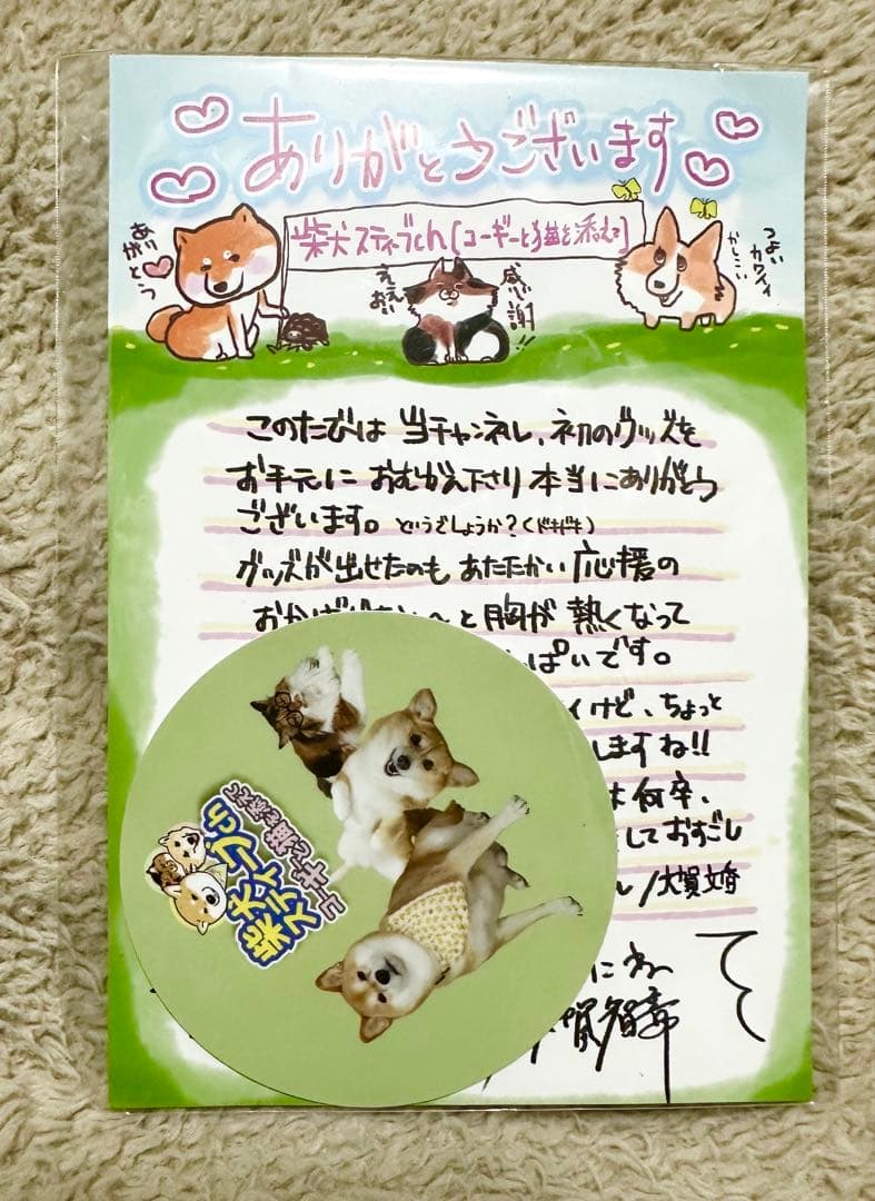 柴犬スティーブchおしゃべりラバーストラップ（購入時おまけ付）