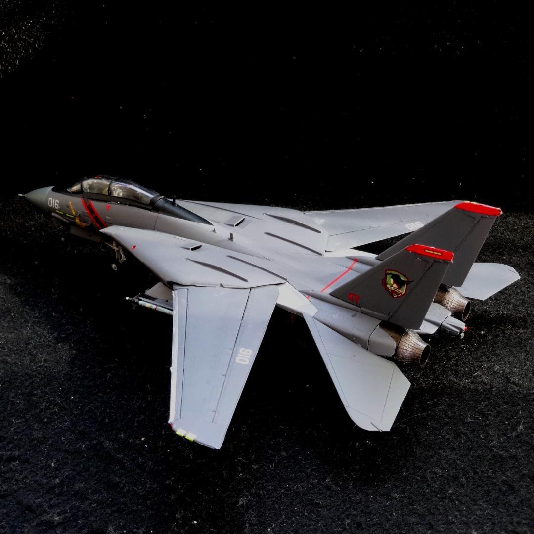 1/72 エースコンバット F-14A トムキャット \"RAZGRIZ\" 完成品