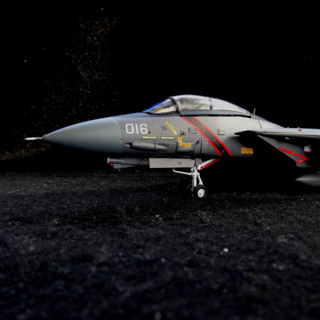 1/72 エースコンバット F-14A トムキャット \"RAZGRIZ\" 完成品