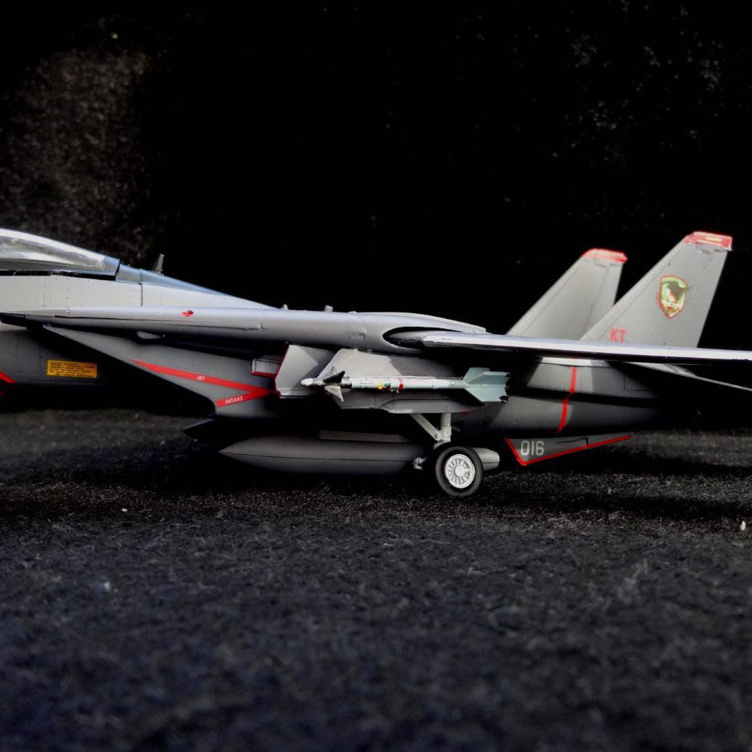 1/72 エースコンバット F-14A トムキャット \"RAZGRIZ\" 完成品