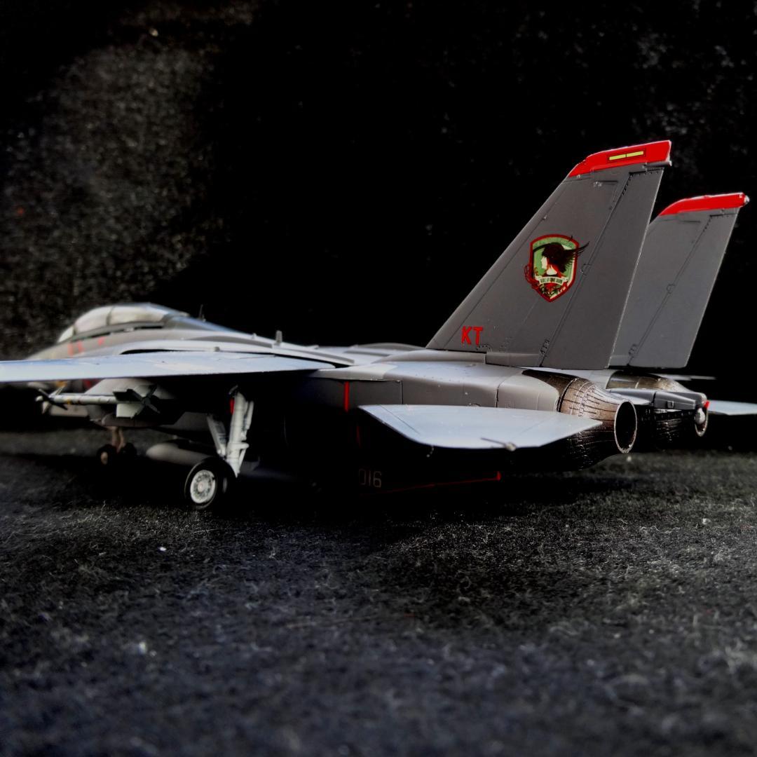 1/72 エースコンバット F-14A トムキャット \"RAZGRIZ\" 完成品