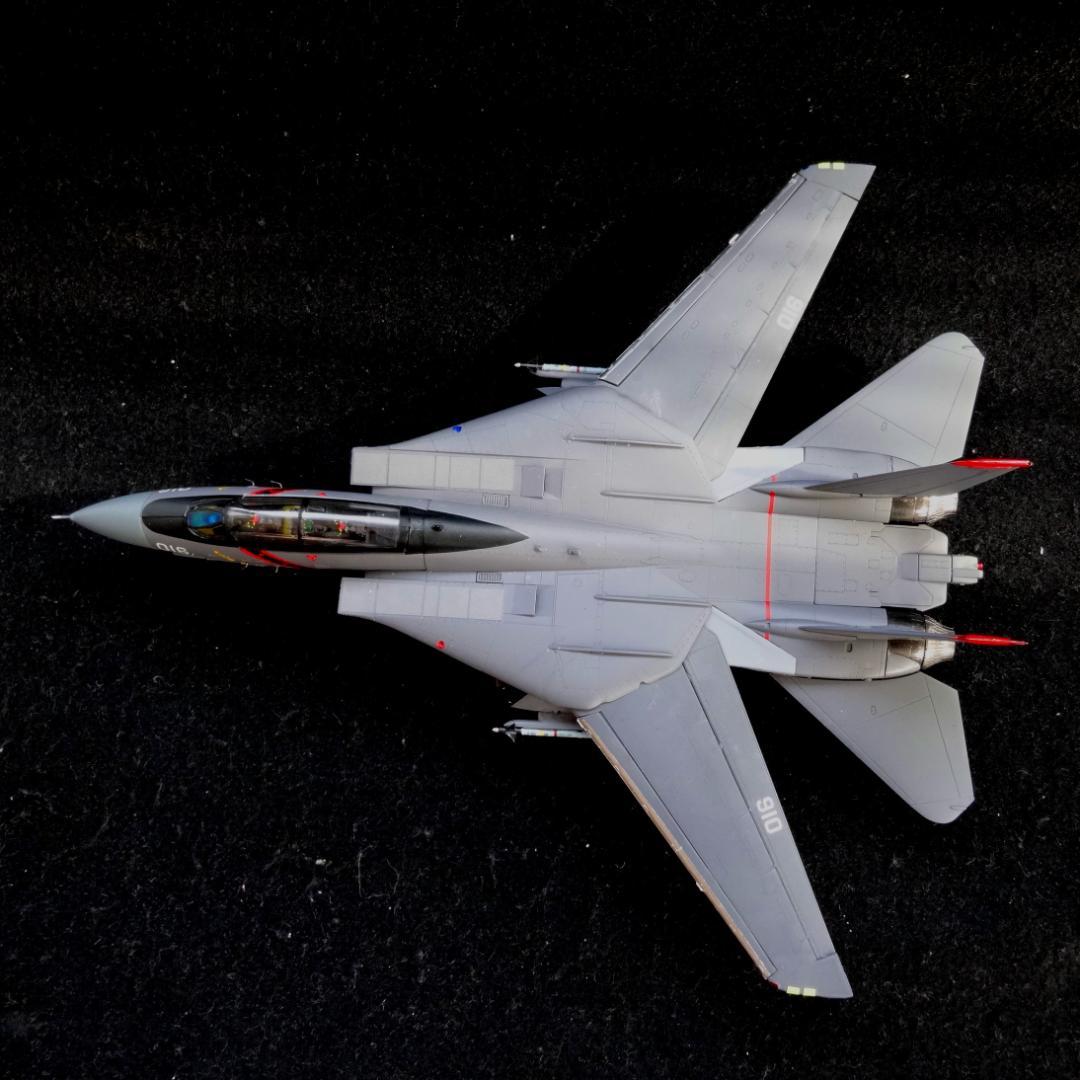 1/72 エースコンバット F-14A トムキャット \"RAZGRIZ\" 完成品