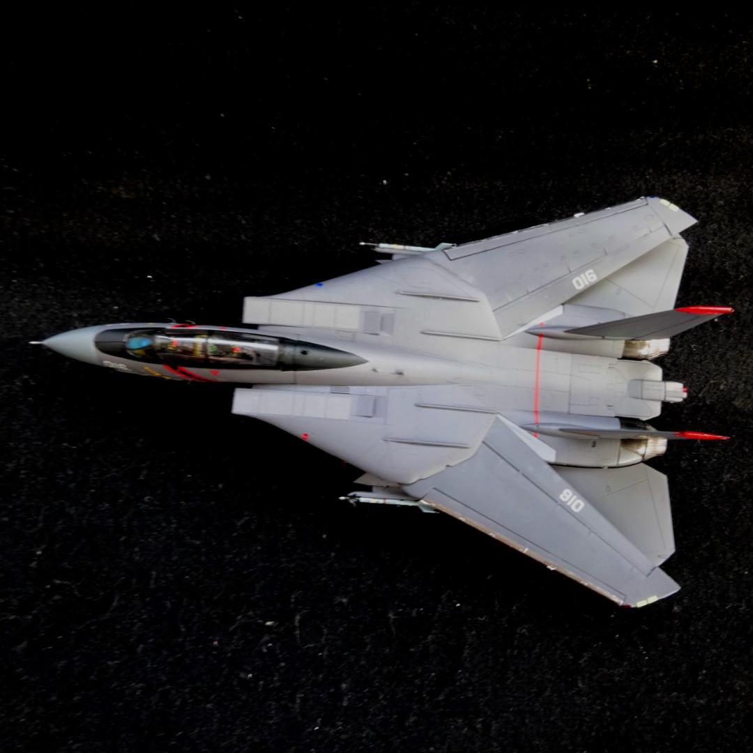 1/72 エースコンバット F-14A トムキャット \"RAZGRIZ\" 完成品