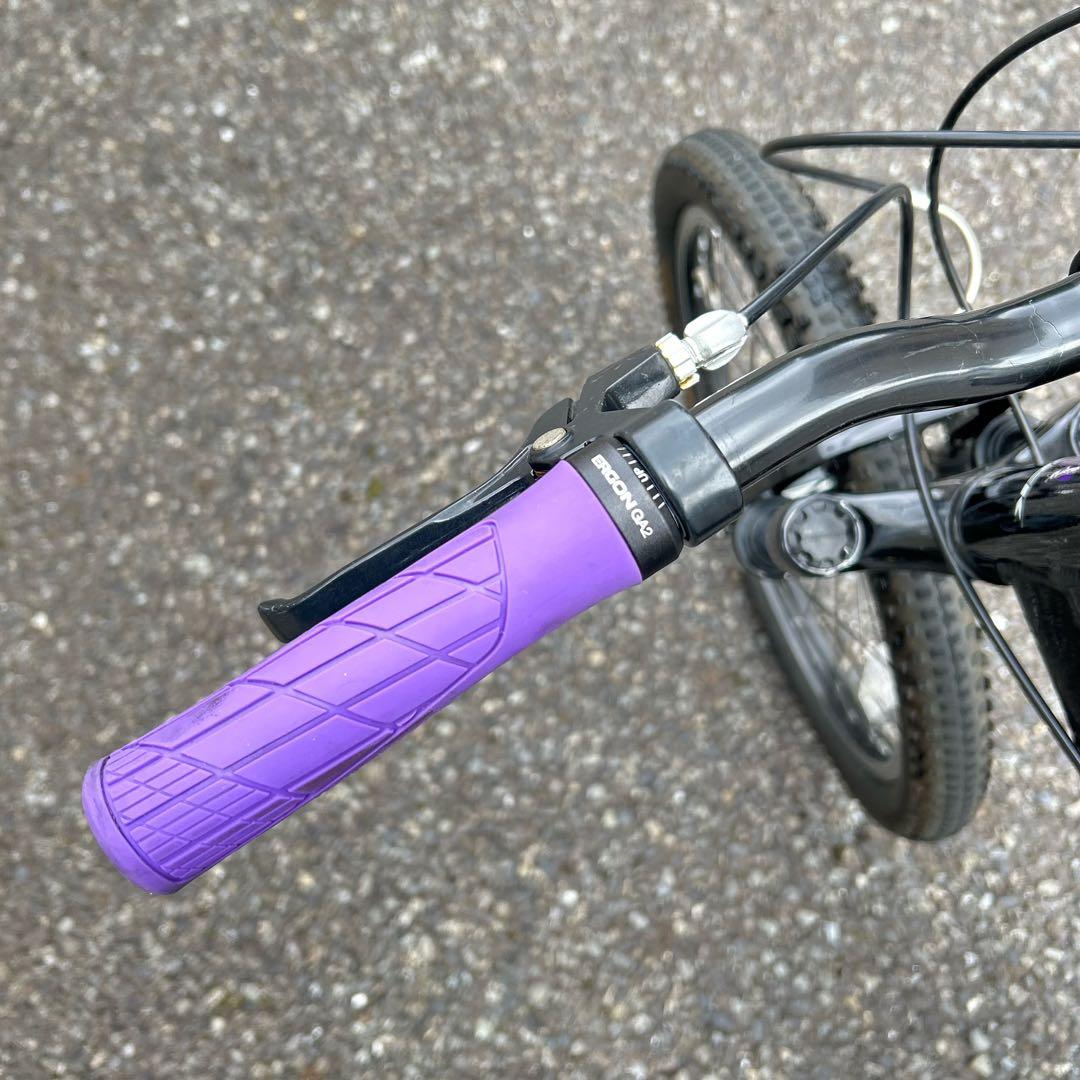 trek トレック Precaliber 20インチ 黒と紫 マウンテンバイク