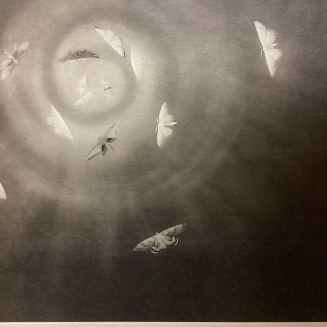 天才画家速水御舟　作品集大作編便利堂監修　画集NO 18 【昆虫二題粧蛾舞戯】