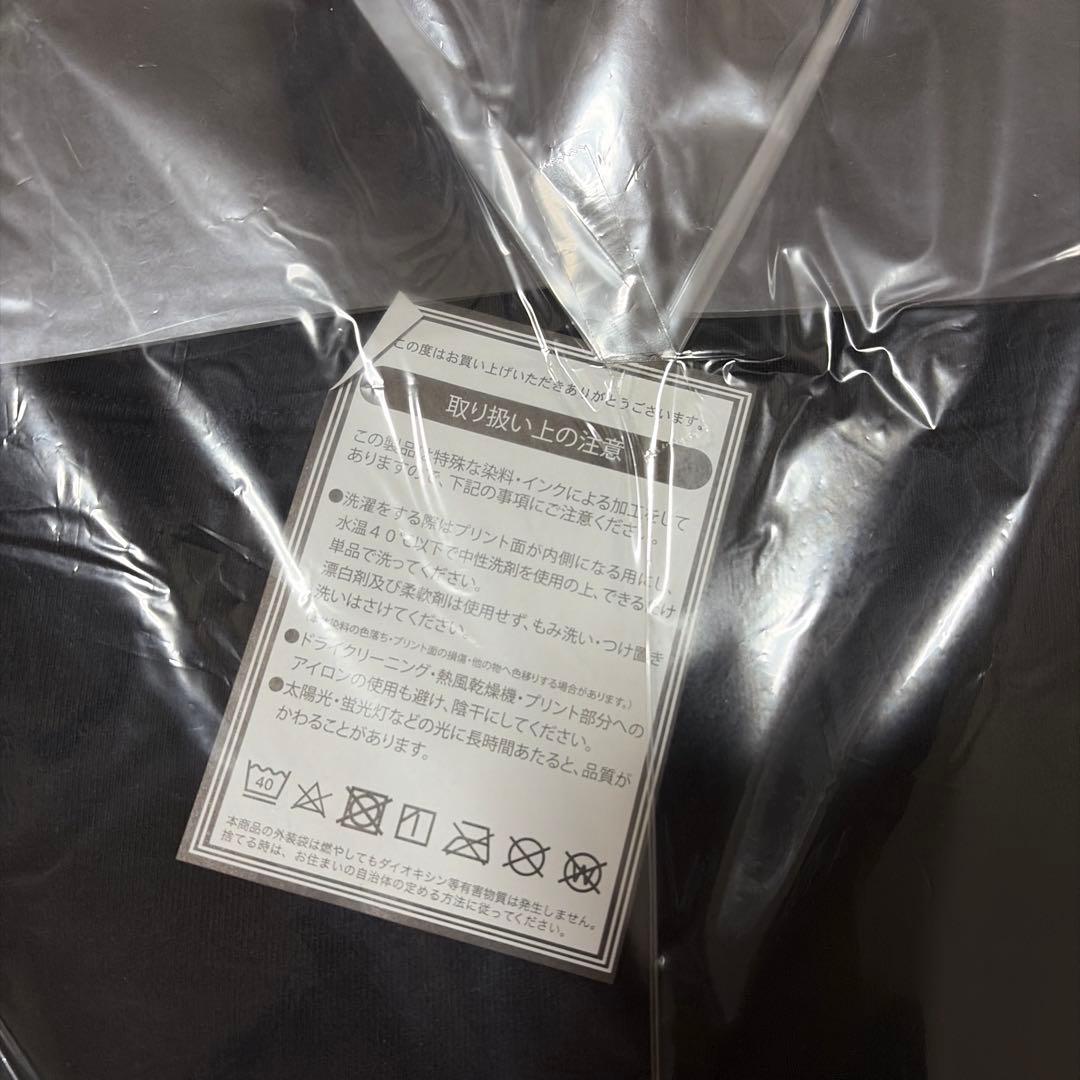 ELLEGARDEN パーカー Mサイズ SKULLSHIT