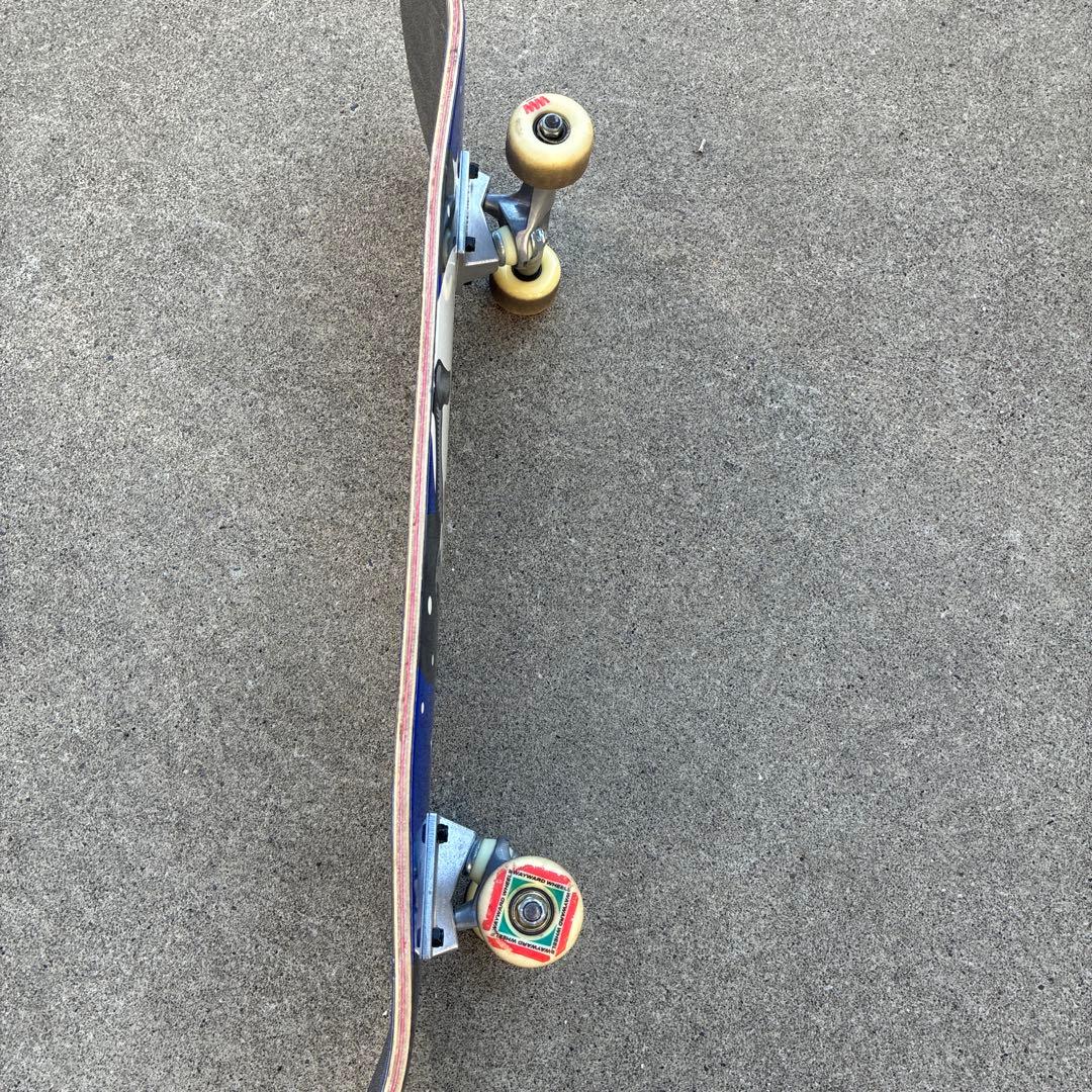 SANTA CRUZ コンプリートスケートボード 80センチ