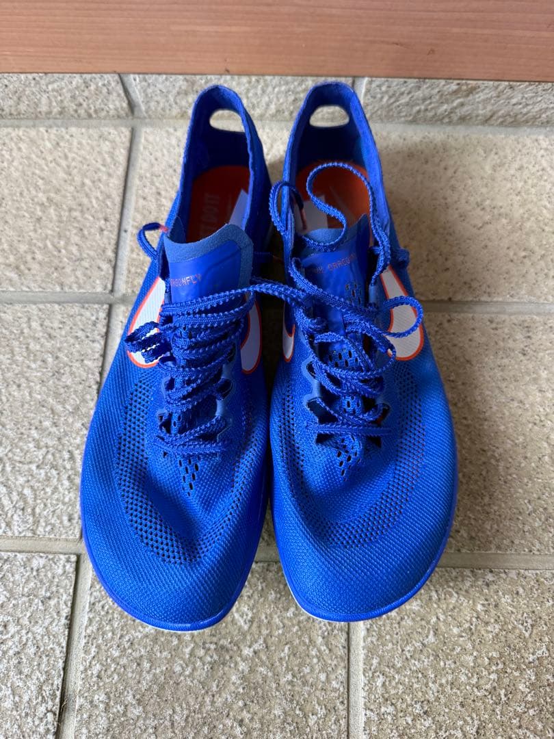 Nike ドラゴンフライ 27.5cm