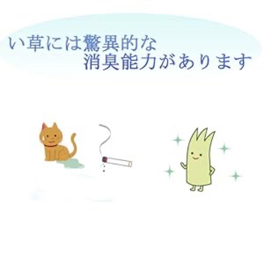 イケヒコ 畳ヨガマット ジョイ グリーン い草 デニム 国産 60×180×6
