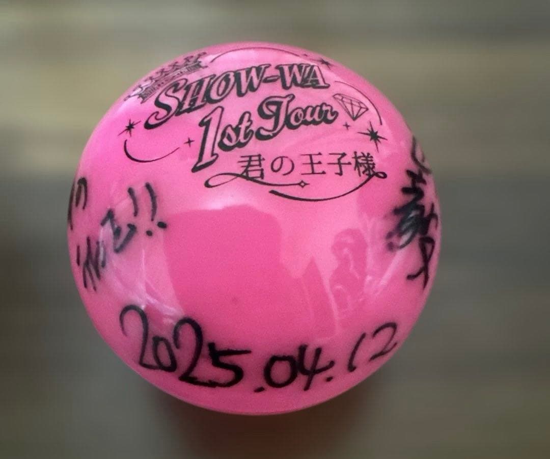 SHOW-WA 向山毅 サインボール
