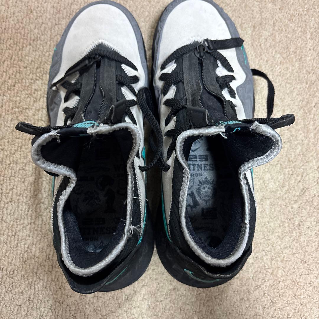 ナイキ レブロン XVI LOW AC