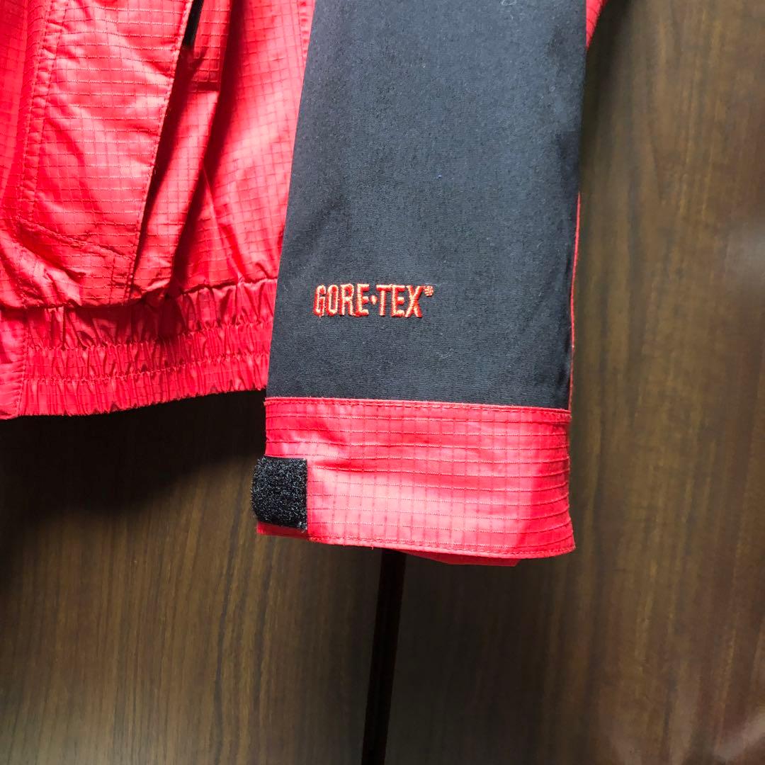 THE NORTH FACE スノボ/スキー/ USのLサイズ ゴアテックス