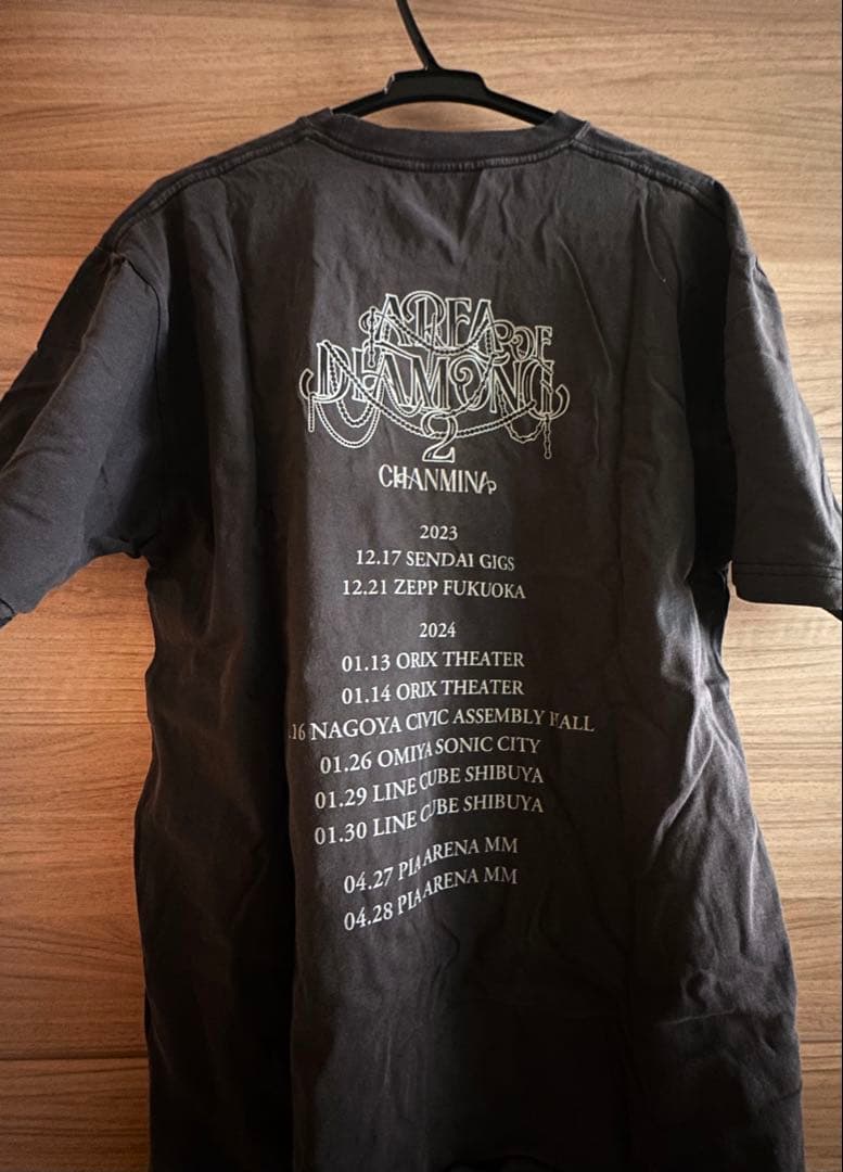 【ちゃんみな】AOD2 ライブTシャツ