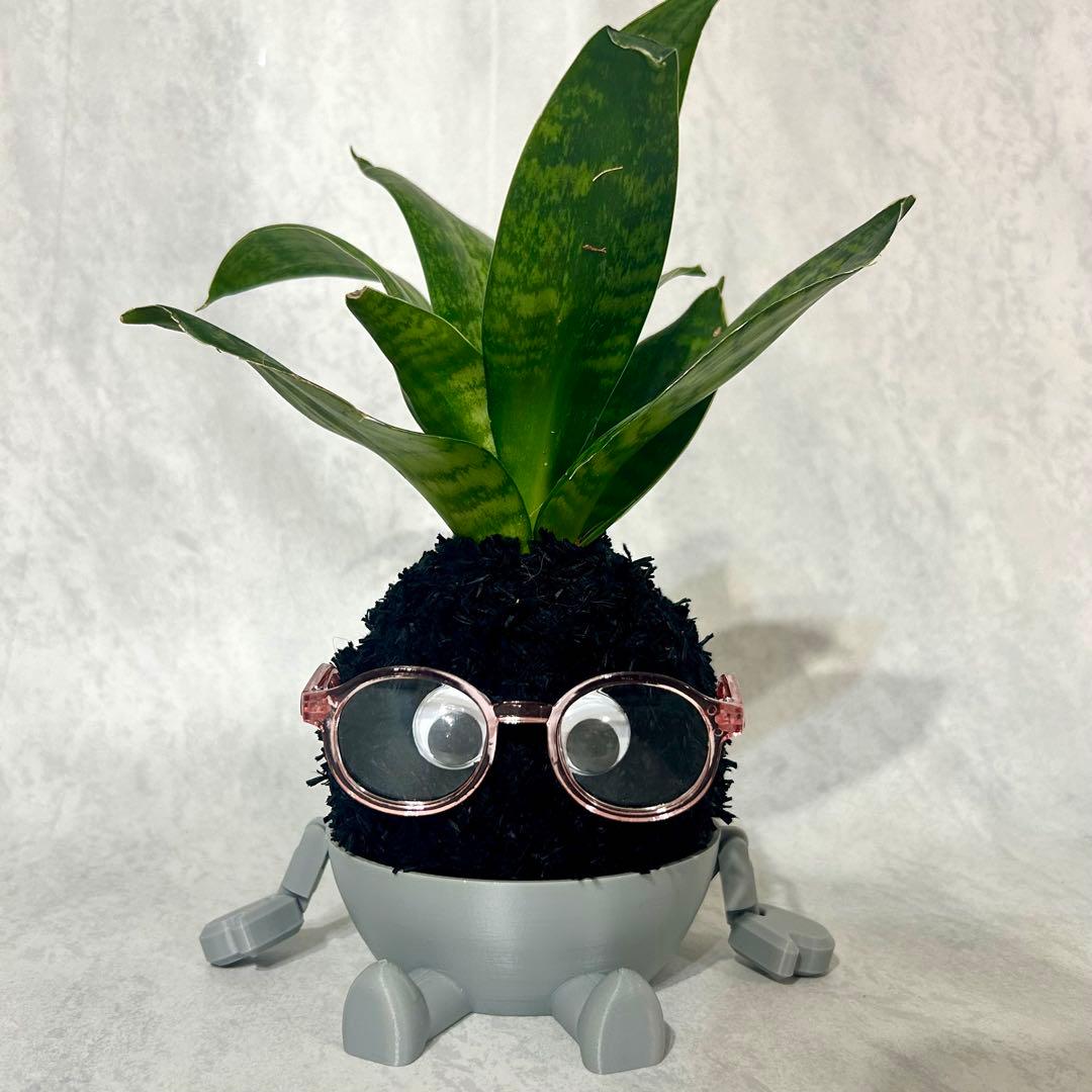 デカモン(オリジナル苔玉モンスター)ブラック