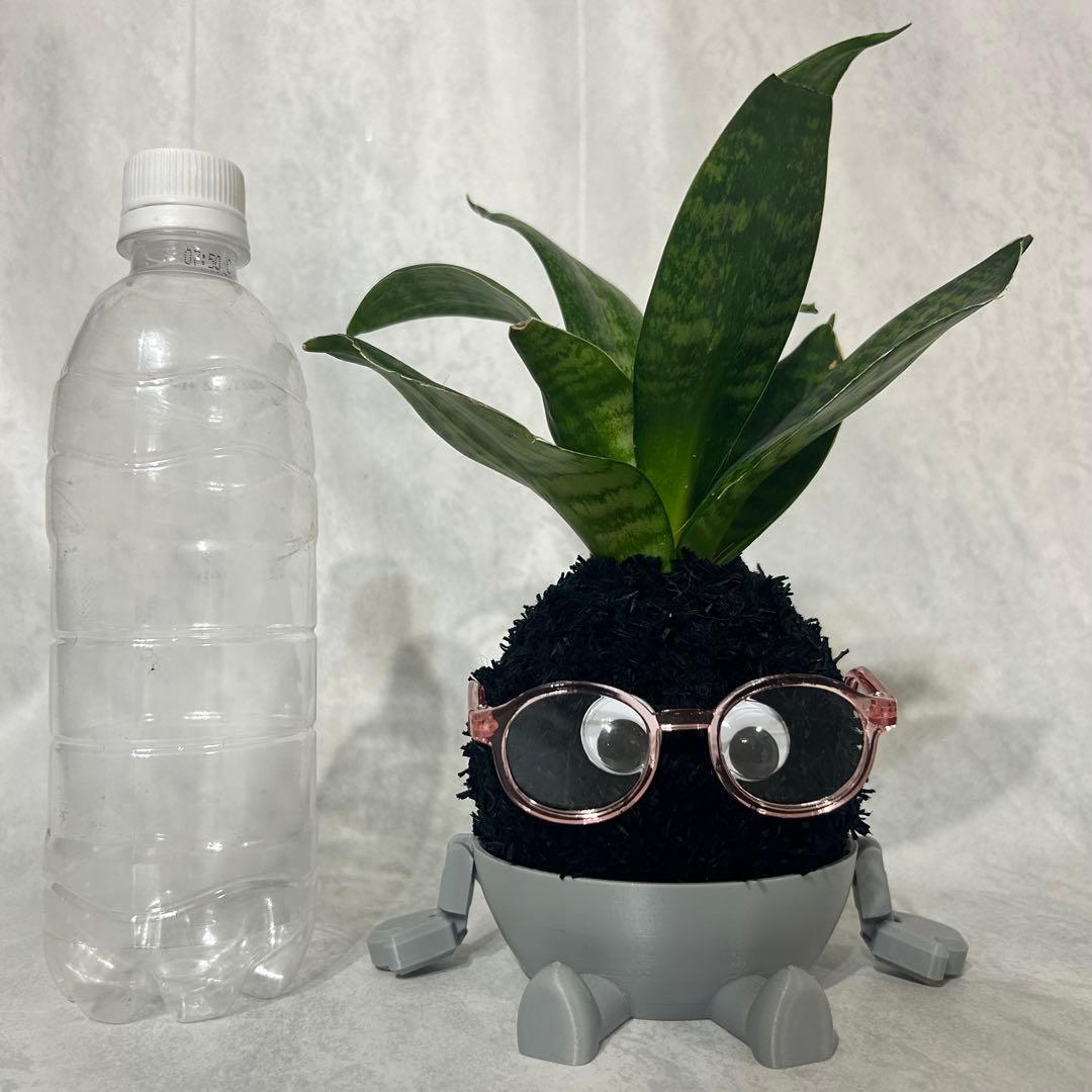 デカモン(オリジナル苔玉モンスター)ブラック