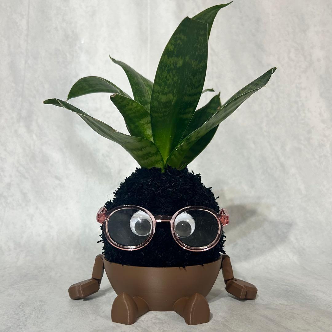 デカモン(オリジナル苔玉モンスター)ブラック