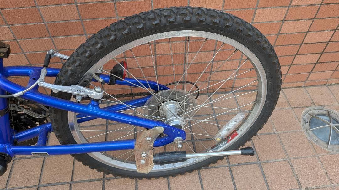 ルイガノ　キッズ向け