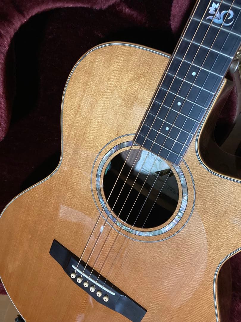 ギター Morris S-102