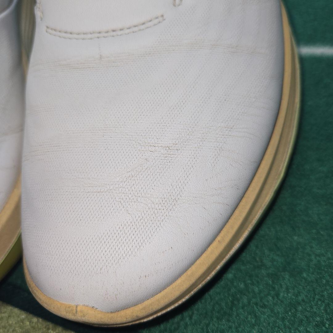 ECCO メンズシューズ EU41(JPN25.5cm) レザーソフトオイル付き