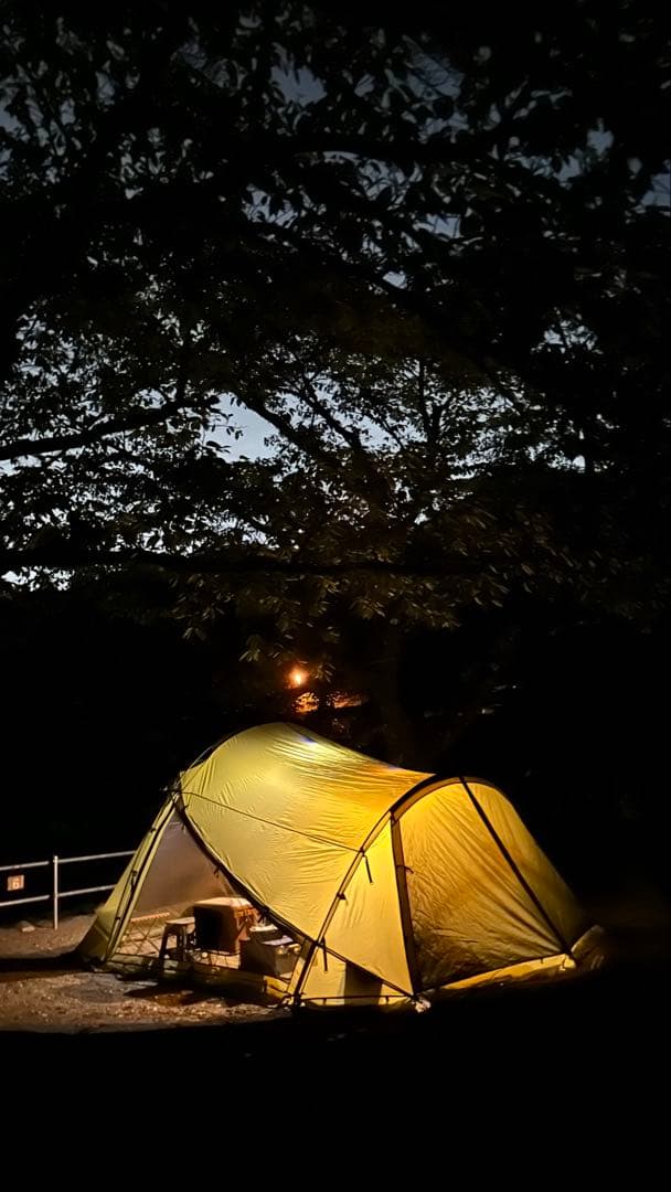 森様限定