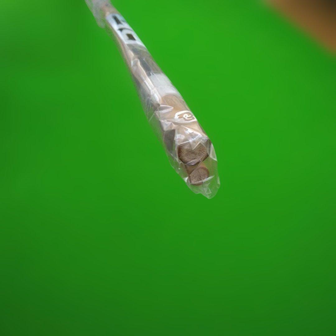 一心竹山城　紀州竹竿